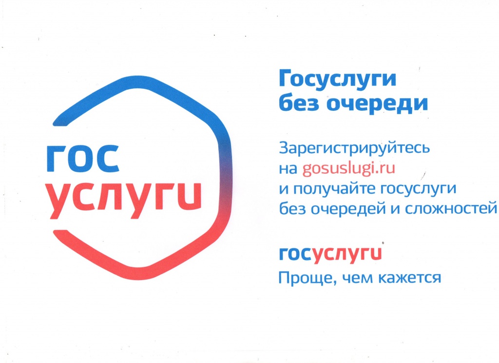 img031.jpg img031.jpg